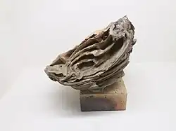 Ratés de cuisson, atelier de la Muette.