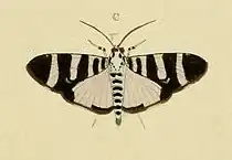 Description de cette image, également commentée ci-après