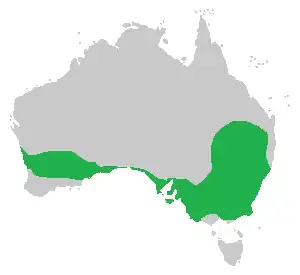 Description de l'image Méliphage.png.