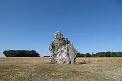Menhir érigé en l'an 2000 par 200 volontaires à Mévoisins. Hauteur : 4,20 mètres, masse : 10 tonnes.