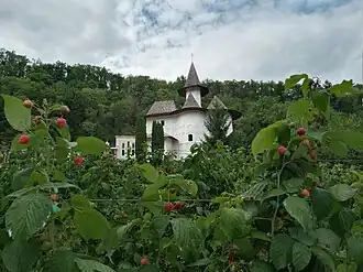 Image illustrative de l’article Monastère de Rudi