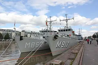 illustration de Crocus (M917)