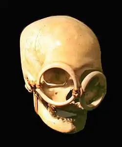 Crâne d'ancêtre. Îles Salomon. Os, dents, coquillages, fibres, H. 16&nbsp;cm. 1850-1950