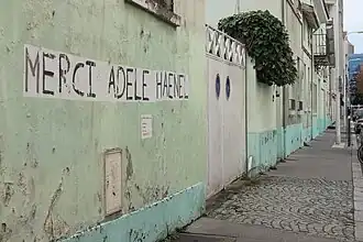 Lyon : « Merci Adèle Haenel ».