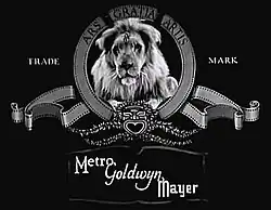 Description de l'image MGM(6).jpg.