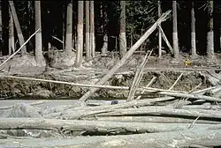 Photo d'une coulée de boue.