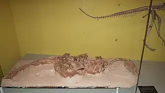 Description de cette image, également commentée ci-après