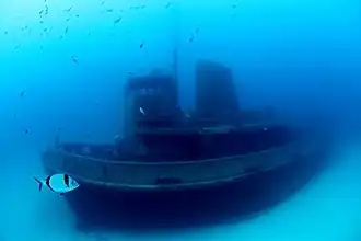 illustration de MV Rozi