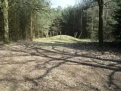 Tumulus au hameau de Vessemsedijk (commune de Veldhoven.
