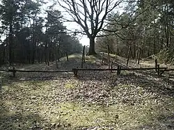Tumulus mis en évidence au hameau de Vessemsedijk.