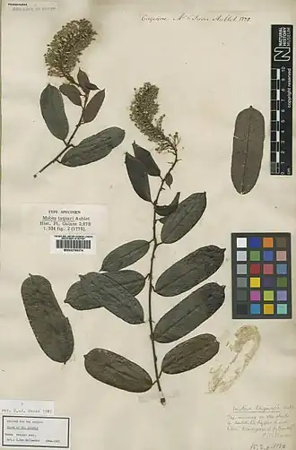 Description de cette image, également commentée ci-après