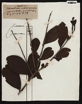 Description de cette image, également commentée ci-après