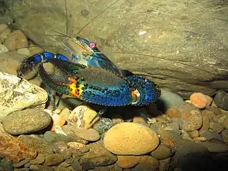 Description de cette image, également commentée ci-après