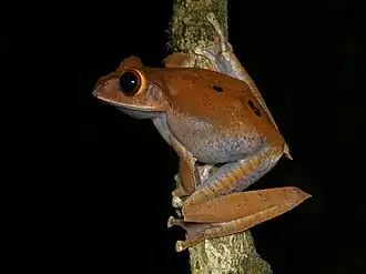 Description de cette image, également commentée ci-après