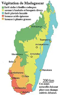 Les biozones végétales de Madagascar.