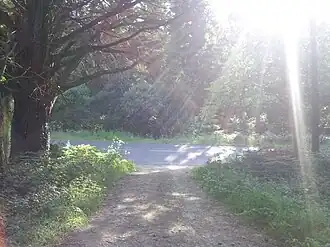 Image illustrative de l’article Forêt de Coat-an-Noz