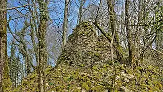 Les vestiges du château (vue sud-ouest).