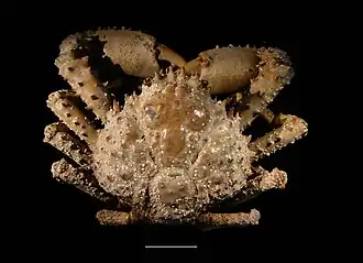 Description de cette image, également commentée ci-après