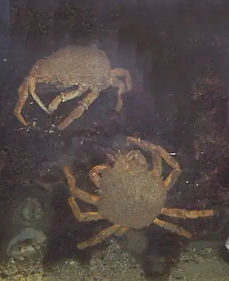 Description de cette image, également commentée ci-après