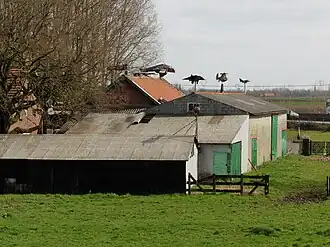 La maison aux avions d'Arthur Vanabelle (Steenwerck)