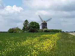 Le moulin à vent.