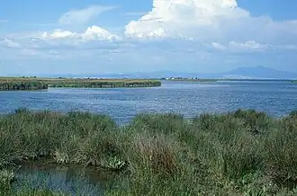 le delta de l'Axiós.