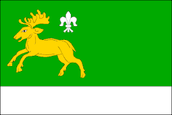 Drapeau de Malá Losenice