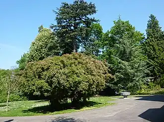 Image illustrative de l’article Parc de Malagnou