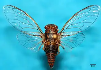 Description de cette image, également commentée ci-après