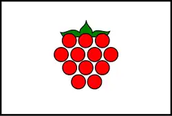 Drapeau de Malenovice