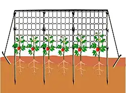 Les fils tenseurs supérieurs aident à maintenir le filet crispé