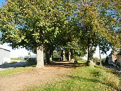 Calvaire, allée du cimetière.