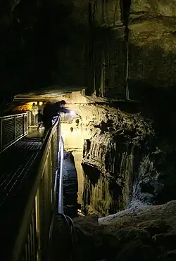 Bottomless Pit (Puits sans fond) à Mammoth Cave, États-Unis.