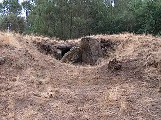 Image illustrative de l’article Anta de Lameira do Fojo