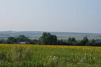 Raïon de Bolchoïe Ignatovo