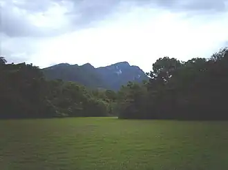 Manapiare (municipalité)