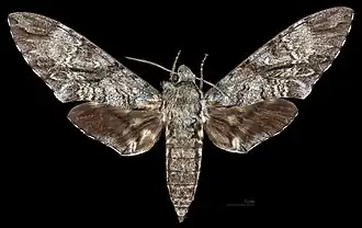 Description de cette image, également commentée ci-après