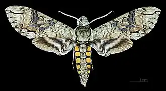 Description de cette image, également commentée ci-après