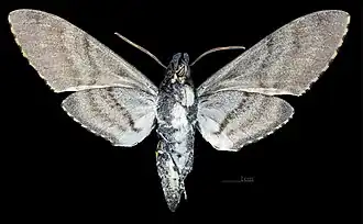 Description de cette image, également commentée ci-après