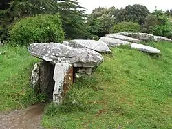 Image illustrative de l’article Dolmen du Mané-Rutual
