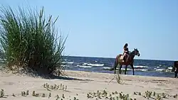 cavalière sur la plage