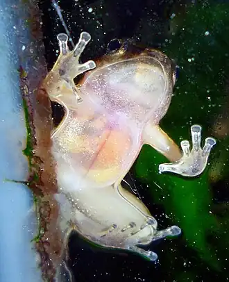 Description de cette image, également commentée ci-après