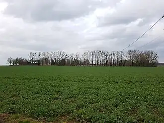 Image illustrative de l’article Manoir du Bâtiment