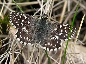Description de cette image, également commentée ci-après