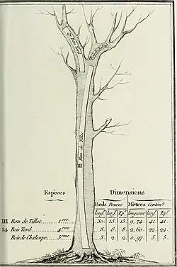 Bau de tillac; Bois tord; Bois de chaloupe