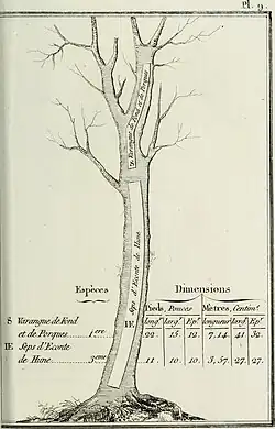 Varangue de fonds et de porques ; sep d'éconte de hune.