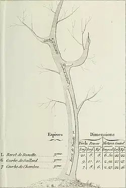 Barrot de dunette; Courbe de gaillard; Courbe de chambre