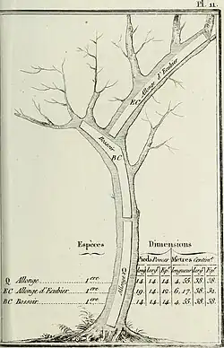 Allonge; Allonge d'écubier, Bossoir
