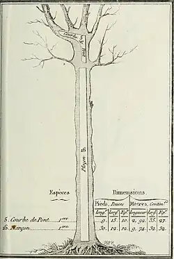 Courbe de Pont; Plançon