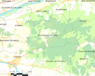 Image illustrative de l’article Forêt de Chinon